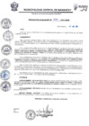 Vista preliminar de documento Resolución de Alcaldía RA0334-2019feNiF