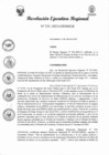 Vista preliminar de documento R.E.R 233