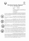 Vista preliminar de documento R.E.R 241