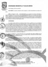 Vista preliminar de documento Ordenanza Nº 302-2014 MVESyKpyT