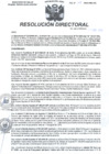 Vista preliminar de documento RD N°148-2023-HMA-DG