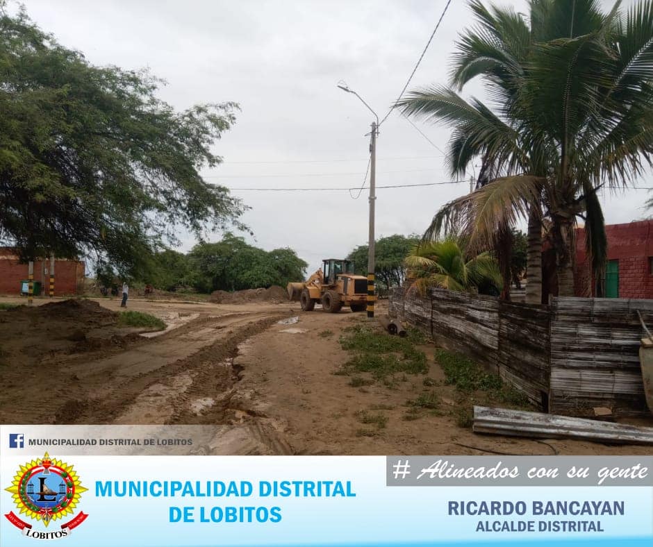 Archivo JPG de trabajos de limpieza