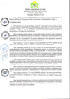 Vista preliminar de documento RA-2020-317.pdf