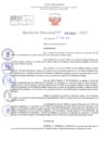 Vista preliminar de documento Resolución Directoral. Nº 1667 - 2023 