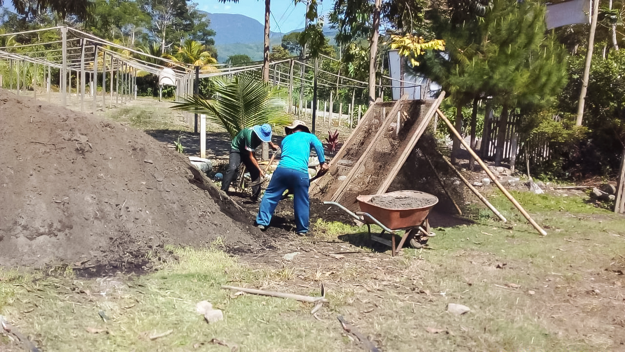 Cinco nuevos viveros para la producción de plantones de cacao y café en el VRAE