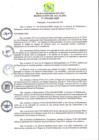 Vista preliminar de documento RA-2020-370.pdf