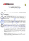 Vista preliminar de documento Nº 208-2023-GOB.REG.AMAZONAS-HA-GLL-B-D.E.