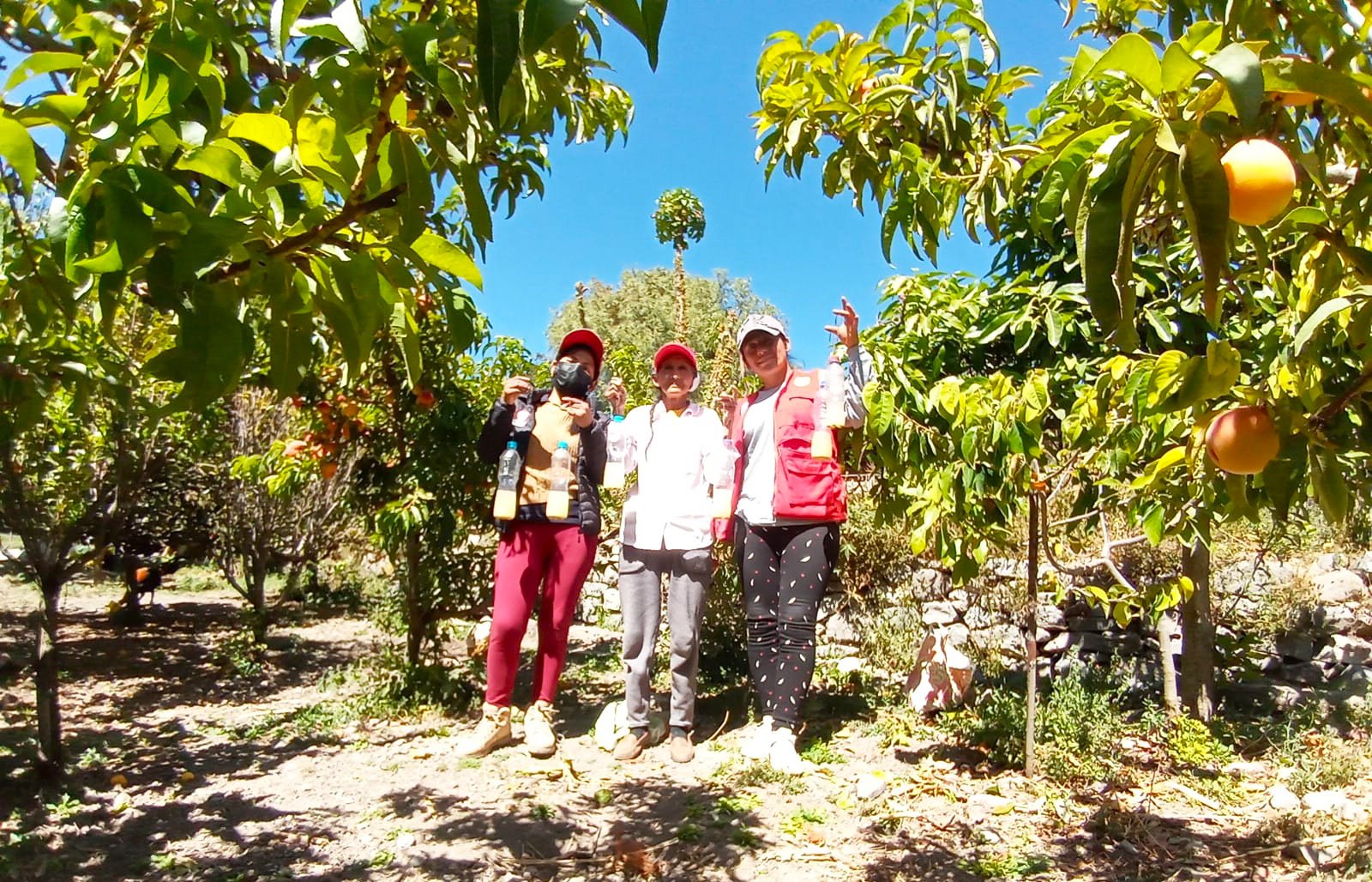 Proyecto Control de Plagas entrega insecticidas a productores frutícolas
