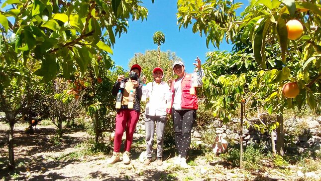 Proyecto Control de Plagas entrega insecticidas a productores frutícolas