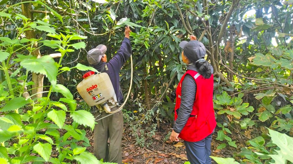 Proyecto Control de Plagas entrega insecticidas a productores frutícolas