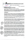 Vista preliminar de documento RA 156