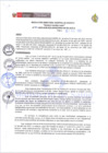 Vista preliminar de documento Nº 219-2023-GOB.REG.AMAZONAS-HA-GLL-B-D.E.