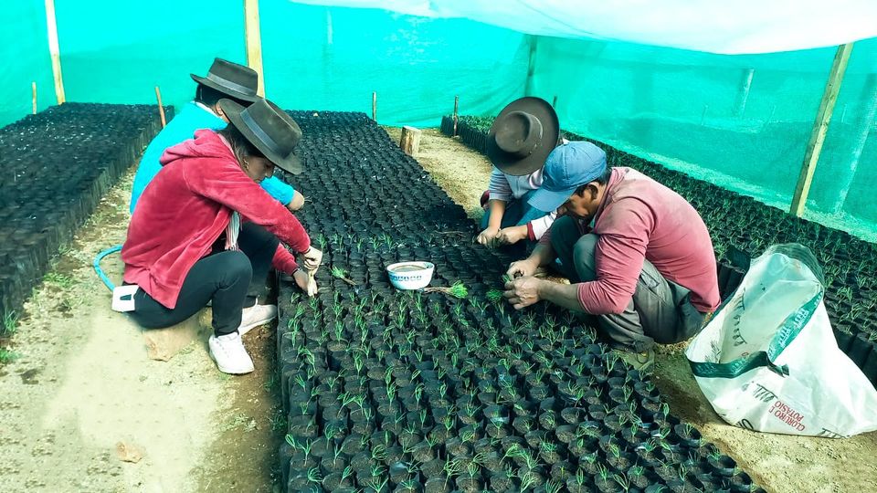 Sembrando plantas, sembrarás vidas