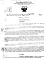 Vista preliminar de documento RDR 1994-2023