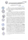 Vista preliminar de documento Directiva D0005-2021frkQl