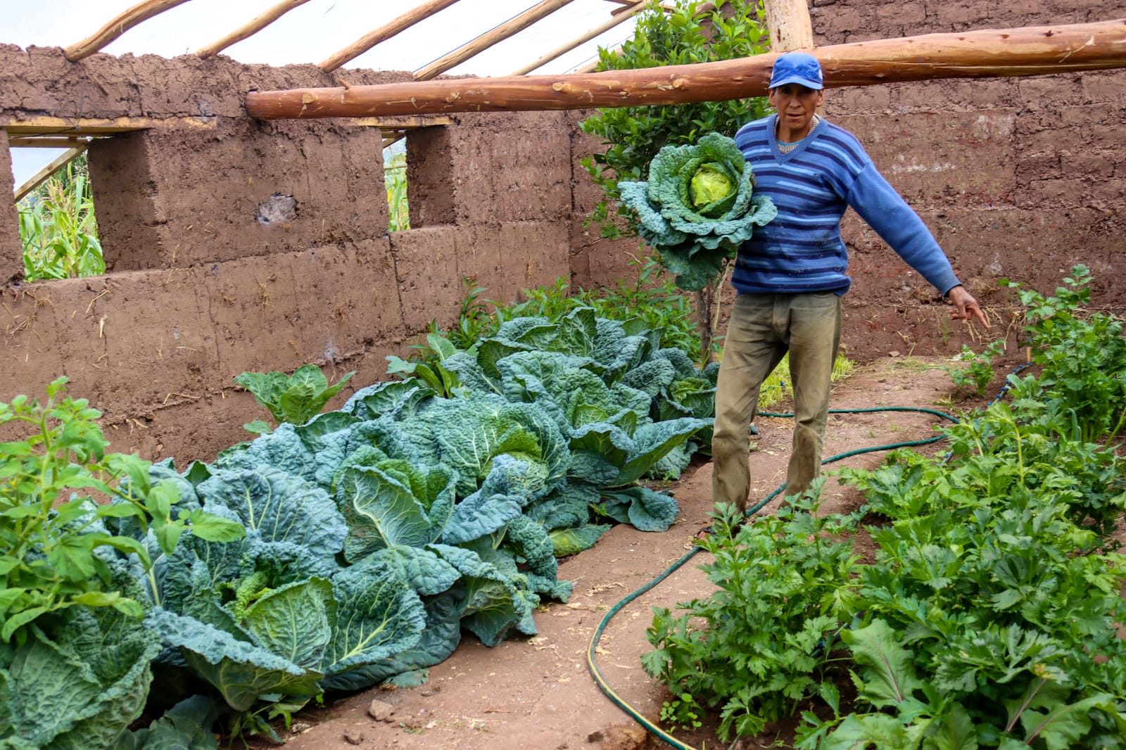 Proyecto Agricultura Familiar fomenta consumo de hortalizas