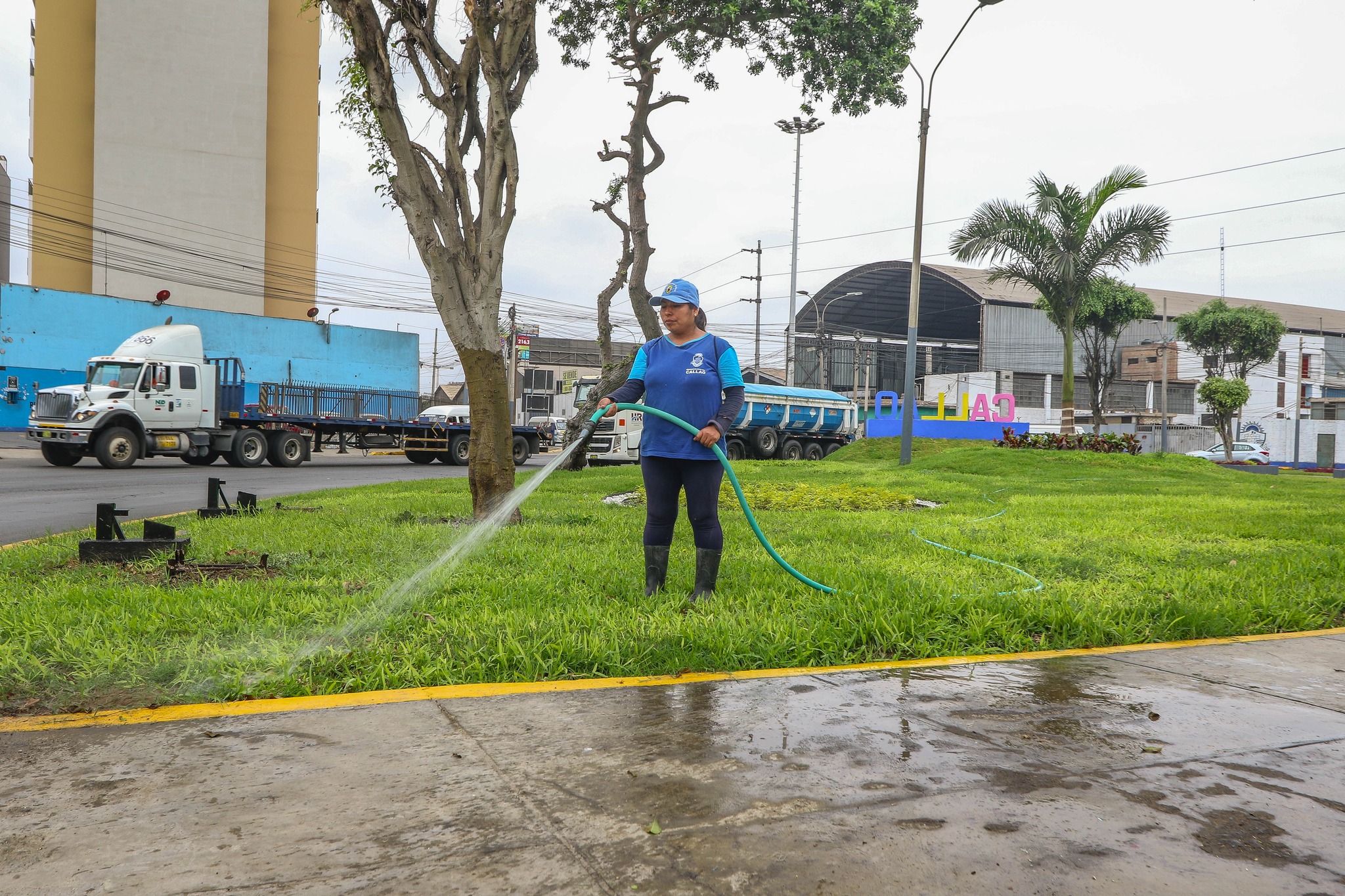 Seguimos realizando el mantenimiento constante de las áreas verdes.