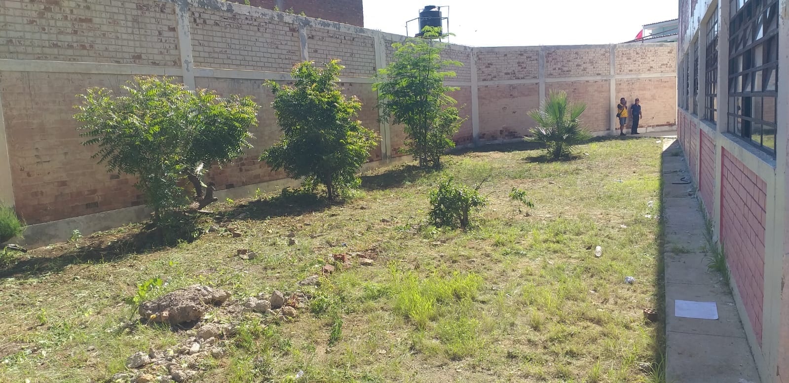 Personal realizó limpieza en Av. Bolognesi y Colegio Zegarra de Nuestro Distrito