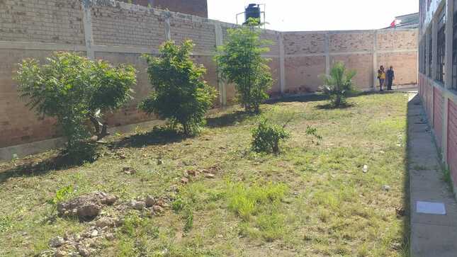 Personal realizó limpieza en Av. Bolognesi y Colegio Zegarra de Nuestro Distrito
