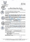 Vista preliminar de documento RA 162-2023