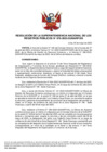 Vista preliminar de documento Resolución de la Superintendencia Nacional de los Registros Públicos N° 076-2023-SUNARP/SN