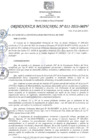 Vista preliminar de documento OM_011-2023-MPV