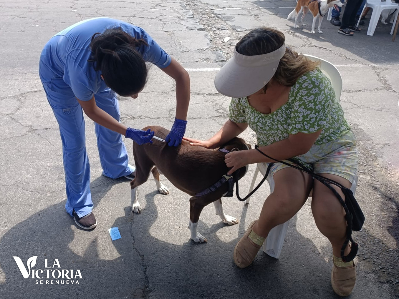 Campaña veterinaria El Porvenir
