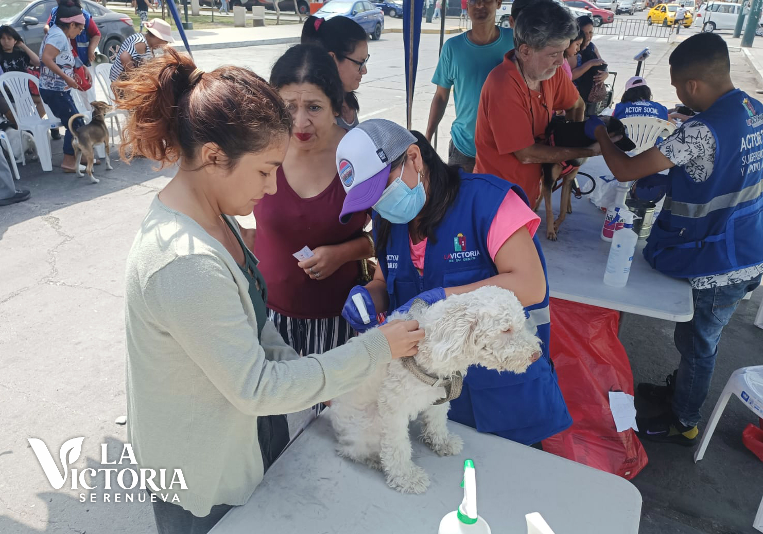 Campaña veterinaria El Porvenir