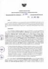 Vista preliminar de documento RDR N° 0196-2023-02-05-2023