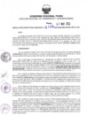 Vista preliminar de documento RDR N° 0199-2023-03-05-2023