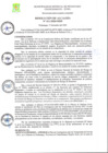 Vista preliminar de documento RA-2020-411.pdf