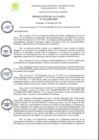Vista preliminar de documento RA-2020-412.pdf