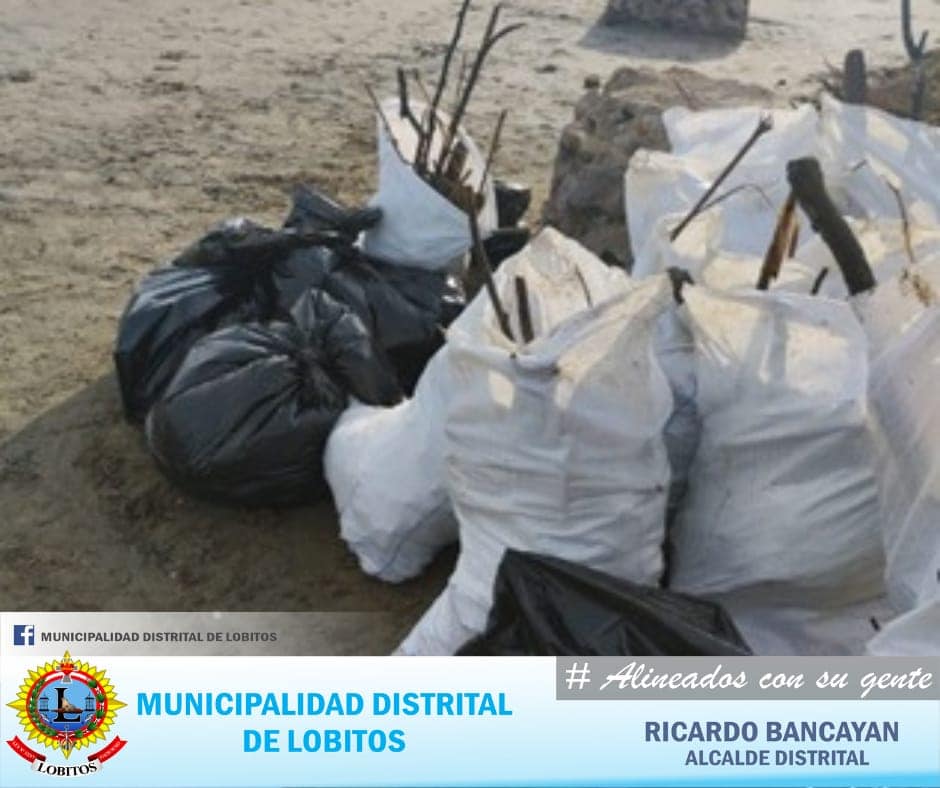 Archivo JPG de la tercera limpieza de playas La Punta y Piscinas