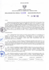 Vista preliminar de documento RDR N° 0206-2023-03-05-2023