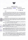 Vista preliminar de documento RDR N° 0208-2023-04-05-2023