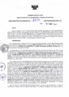 Vista preliminar de documento RDR N° 0211-2023-04-05-2023