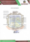 Vista preliminar de documento PGD