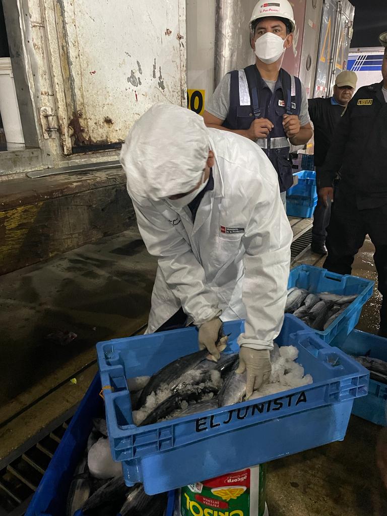 Las autoridades decomisaron la especie que no cumple con la talla reglamentaria