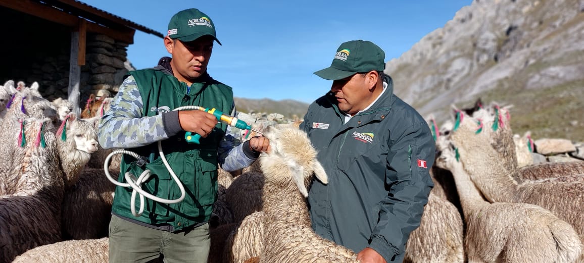 Aplicación de kits veterinarios - Huánuco