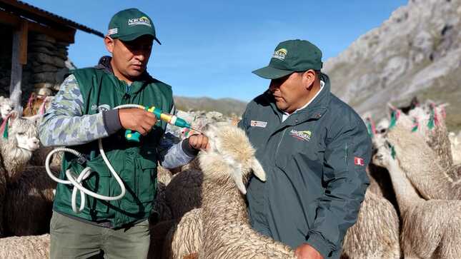 Aplicación de kits veterinarios - Huánuco