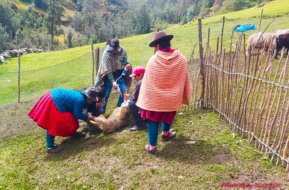 Aplicación de kits veterinarios - Huánuco