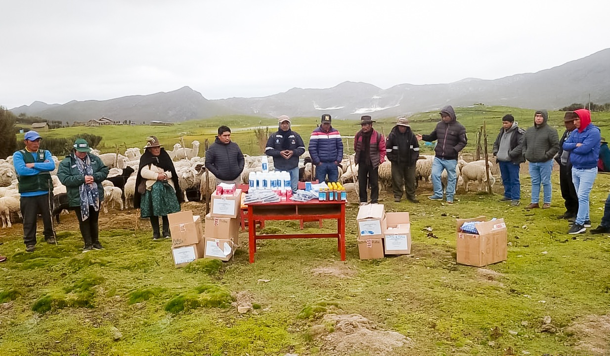 Aplicación de kits veterinarios - Huánuco