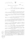 Vista preliminar de documento PAP-1