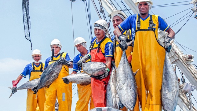 Produce: desembarques pesqueros crecieron 46.1% en marzo del presente año respecto del 2022