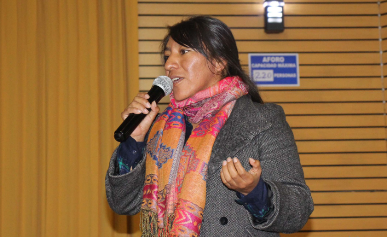 Jóvenes que pertenecen al Voluntariado Juvenil Municipal fueron capacitados sobre el trabajo y las actividades que desarrolla la Sub Gerencia de Desarrollo de la Mujer, Niño, Niña, Adolescente y Adulto Mayor de la Municipalidad Provincial de Puno y sus dependencias (DEMUNA, OMAPED, CIAM).