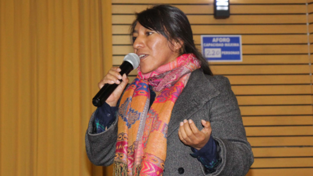 Jóvenes que pertenecen al Voluntariado Juvenil Municipal fueron capacitados sobre el trabajo y las actividades que desarrolla la Sub Gerencia de Desarrollo de la Mujer, Niño, Niña, Adolescente y Adulto Mayor de la Municipalidad Provincial de Puno y sus dependencias (DEMUNA, OMAPED, CIAM).