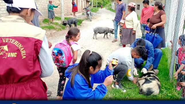 Centro Veterinario Municipal En Jocos Con Campaña De Castración Porcina