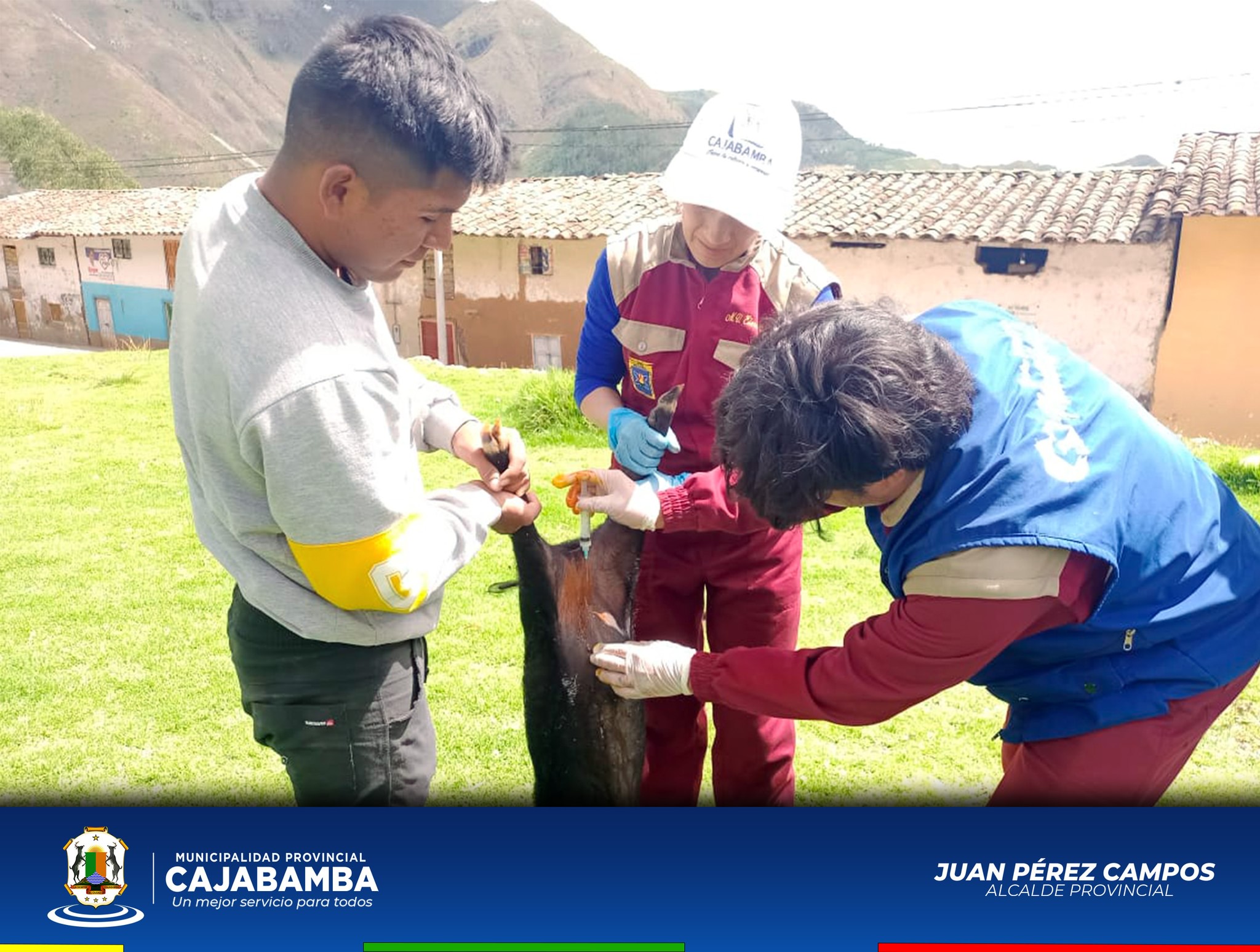 Centro Veterinario Municipal En Jocos Con Campaña De Castración Porcina