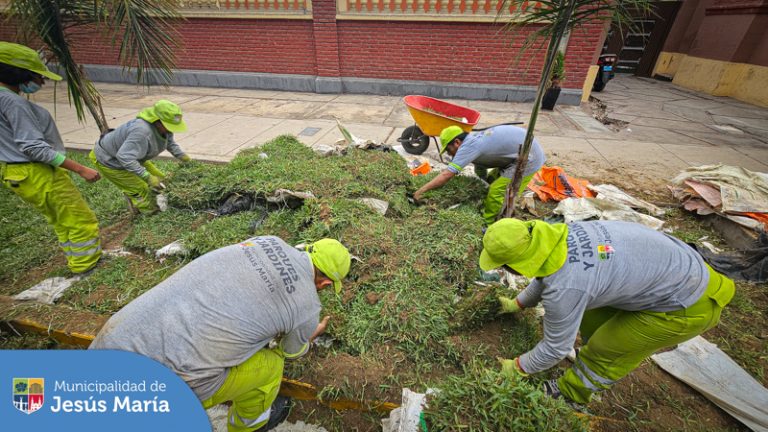 👉 Hoy nuestro equipo trabajó en la Av. Cayetano Heredia colocando más de 1800 m2 de gras y realizando la limpieza y riego adecuados.