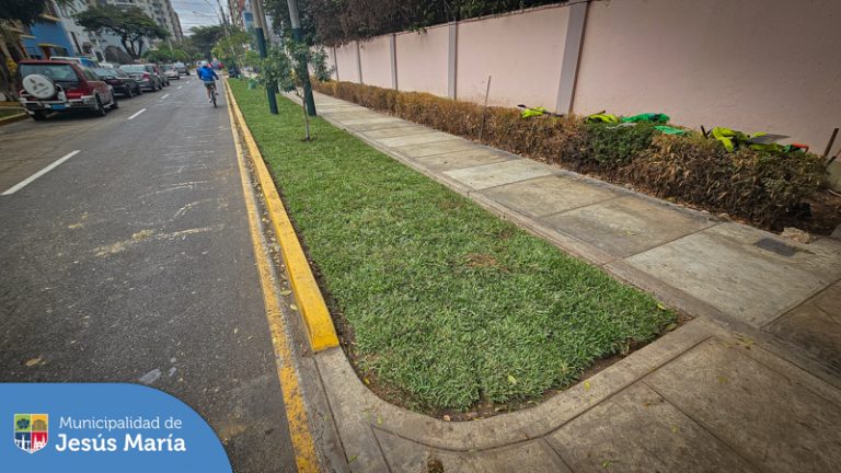 👉 Hoy nuestro equipo trabajó en la Av. Cayetano Heredia colocando más de 1800 m2 de gras y realizando la limpieza y riego adecuados.